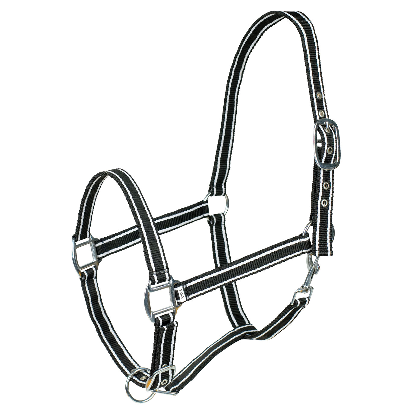 horse riding products